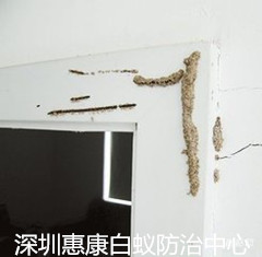 ڻݿρҾӰρ皢